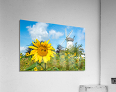Windmill Garden Acrylic Print