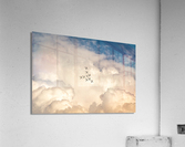 Airshow Acrylic Print