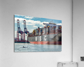 Size Acrylic Print