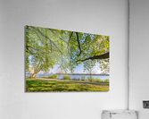 Trees at the Elbe River Acrylic Print
