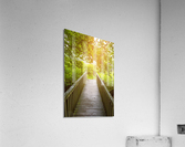 Forest Bridge Acrylic Print