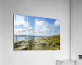 Dune Landscape Acrylic Print