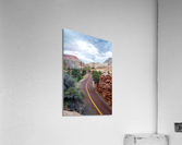 Curvy Desert Road Acrylic Print
