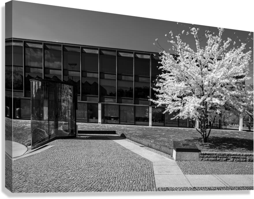 Black and White Spring Canvas Print