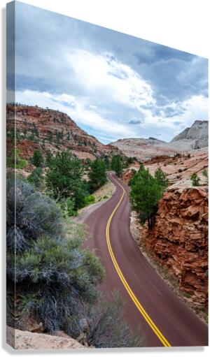 Curvy Desert Road Canvas Print