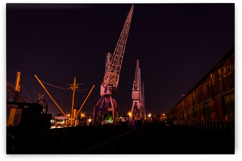 Night Cranes by caladoart