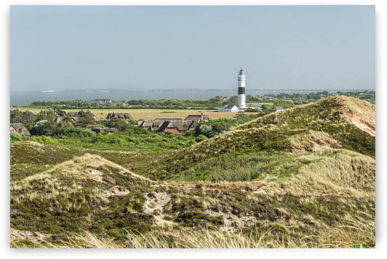 Lighthouse in the dunes of Sylt in North Germany by caladoart