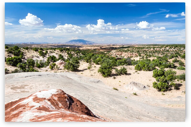Rocky desert in the US Southwest by caladoart