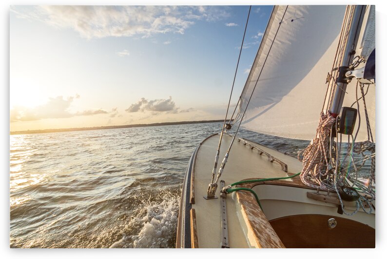 Sailing on the Baltic Sea near Flensburg in North Germany by caladoart