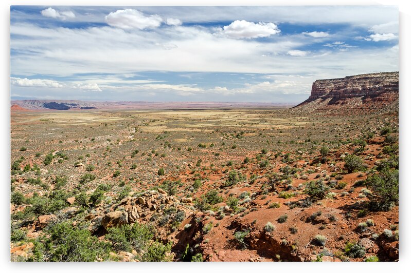 Desert landscape in the US Southwest by caladoart