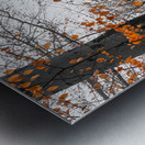 Trees and orange leaves in a park on a foggy morning  Metal print