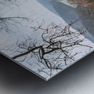 Landscape around the ancient monastery of Bebenhausen in winter Metal print