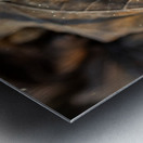 Closeup macro shot of withered brown maple leaf covered by beautiful ice crystals  Metal print