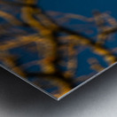 Beautiful image of a crescent moon seen through three branches at sunset  Metal print