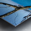 Lonely Fisherman in Rio de Janeiro Metal print