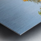 Buddhist Lama Temple Metal print