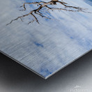Desert Tree Metal print