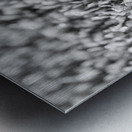 Frost Metal print
