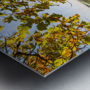 Vineyard View Metal print