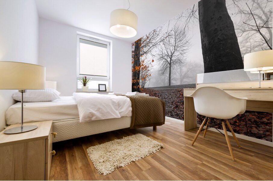 Trees and orange leaves in a park on a foggy morning  Mural print