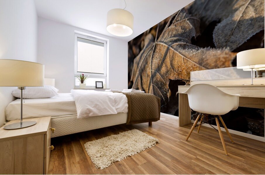 Closeup macro shot of withered brown maple leaf covered by beautiful ice crystals  Mural print