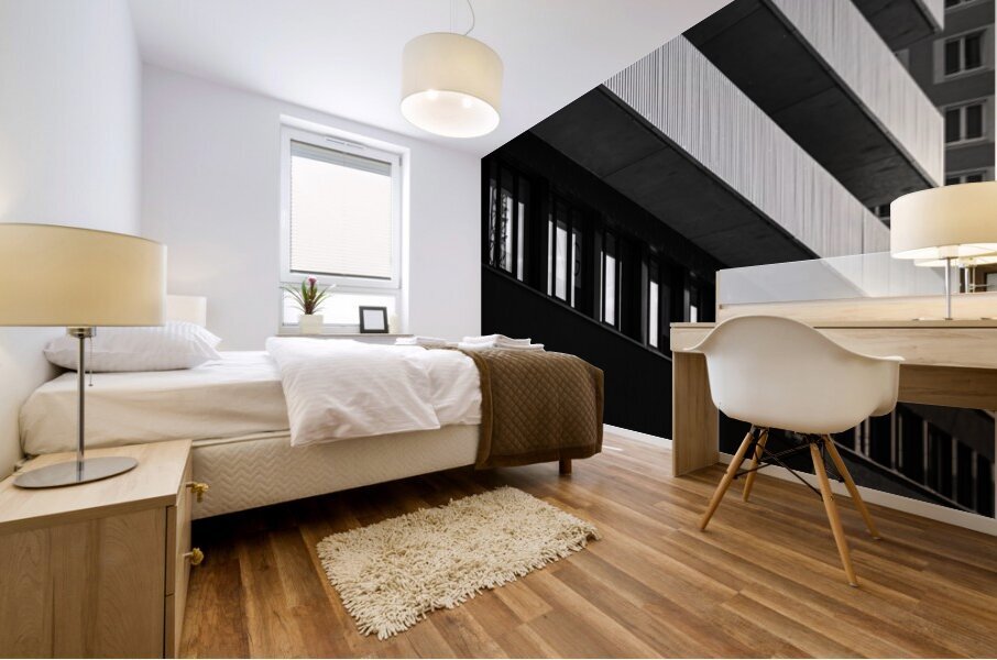 Perspectives  Mural print