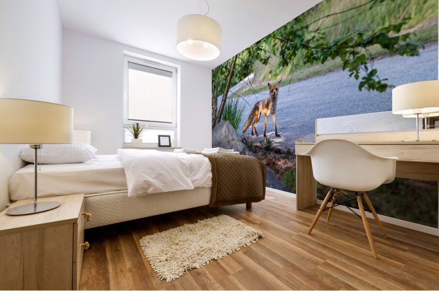 After the Fox Mural print