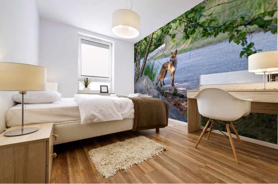 Sniffing Fox Mural print
