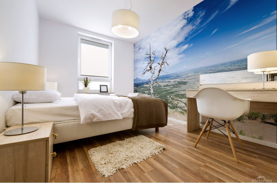 Desert Tree Mural print
