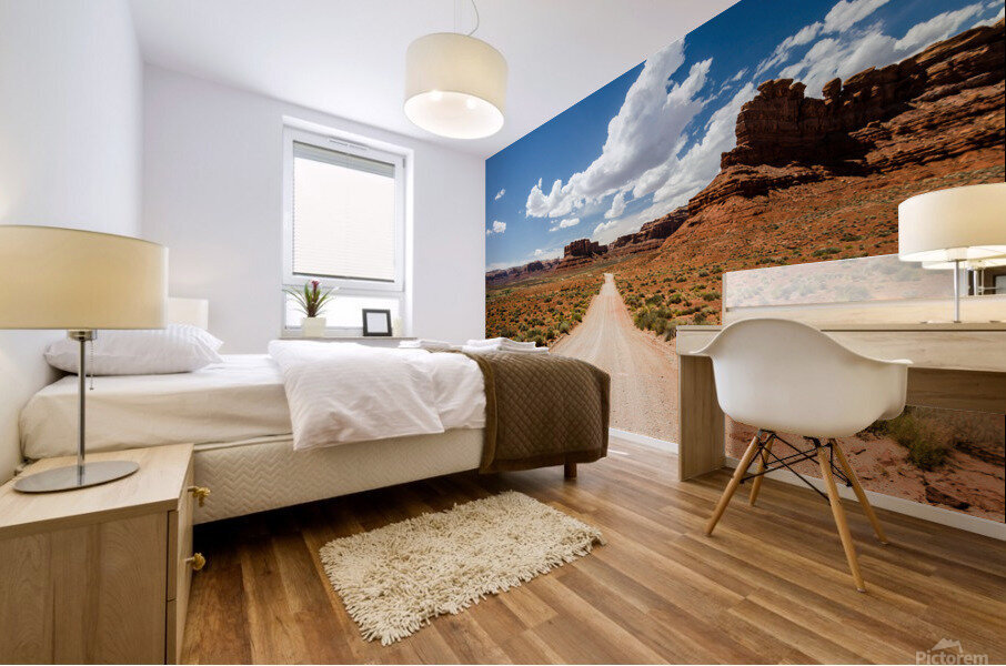 Dirt Road Mural print