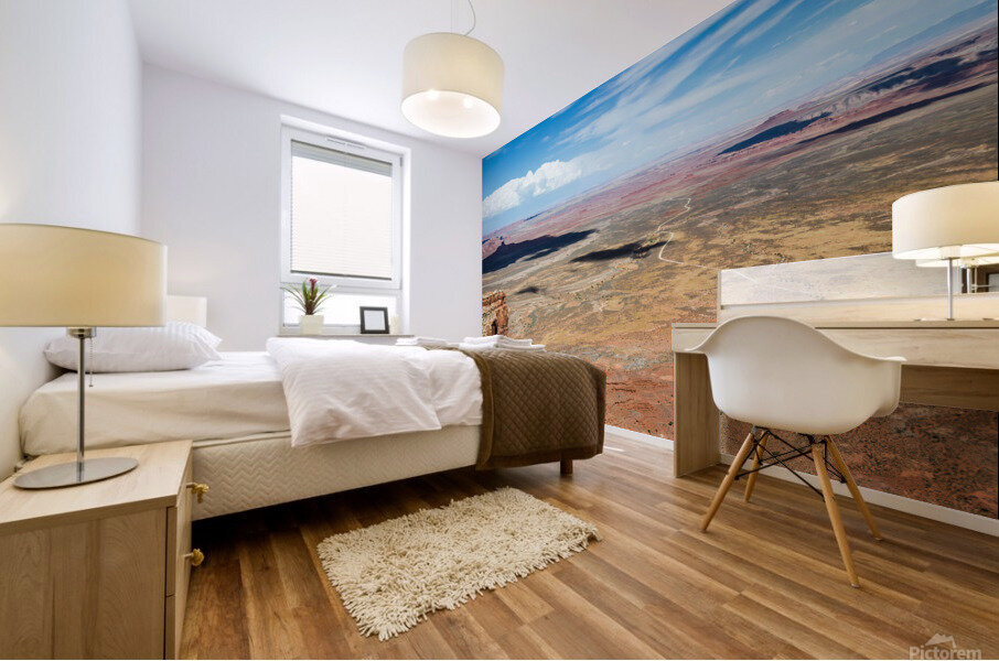 Desert USA Mural print