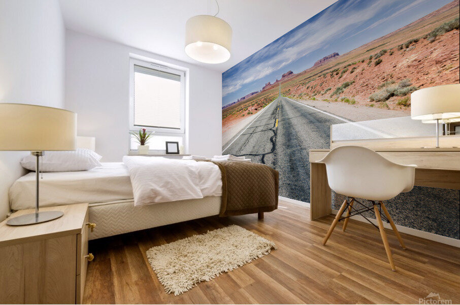 Desert Road Mural print