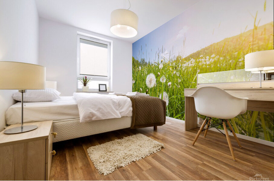 Blowball Flowers Mural print
