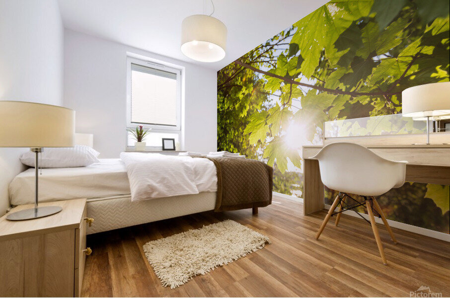 Sun and Leaves Mural print