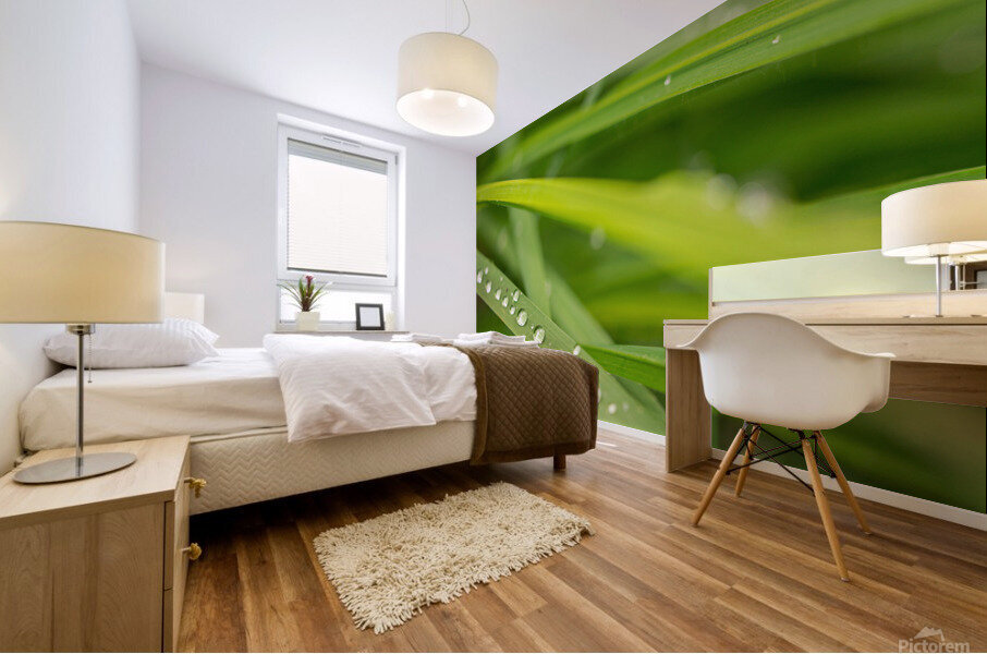 Dewdrops Mural print