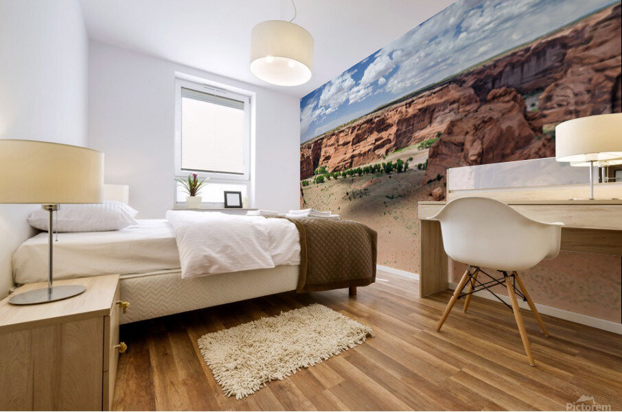 Desert Canyon Mural print