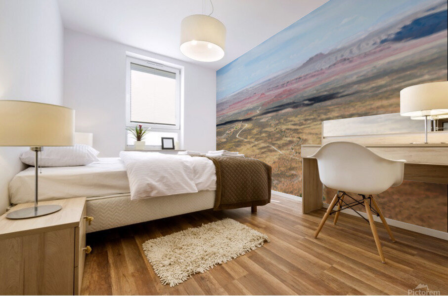 Desert 360 Mural print
