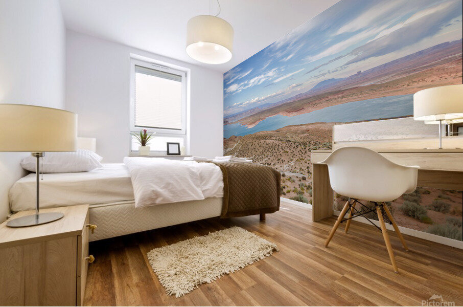 Desert Twilight Mural print