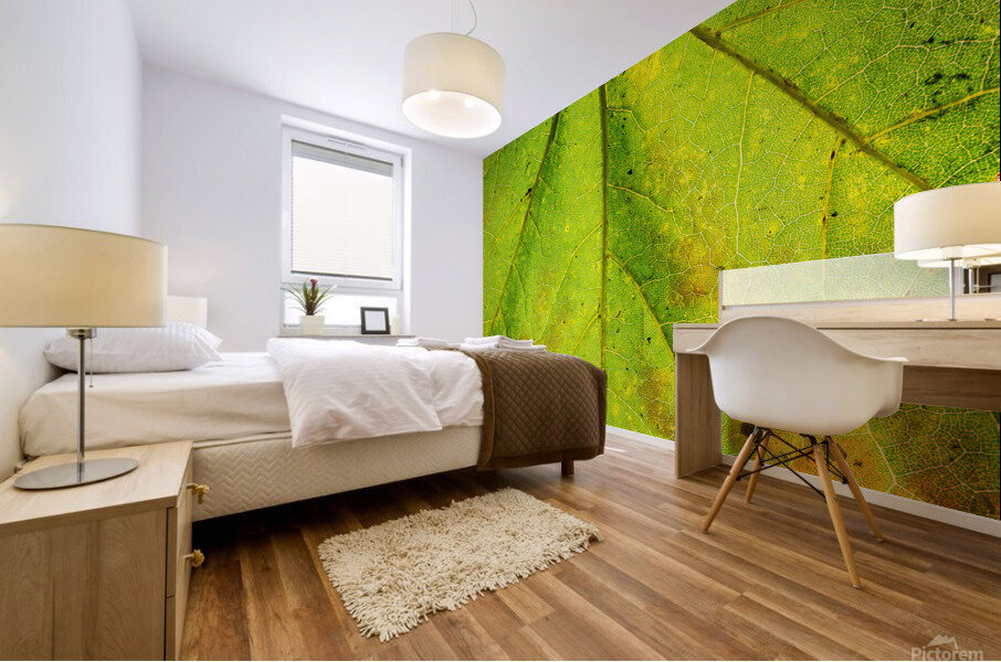Maple Leaf  Mural print