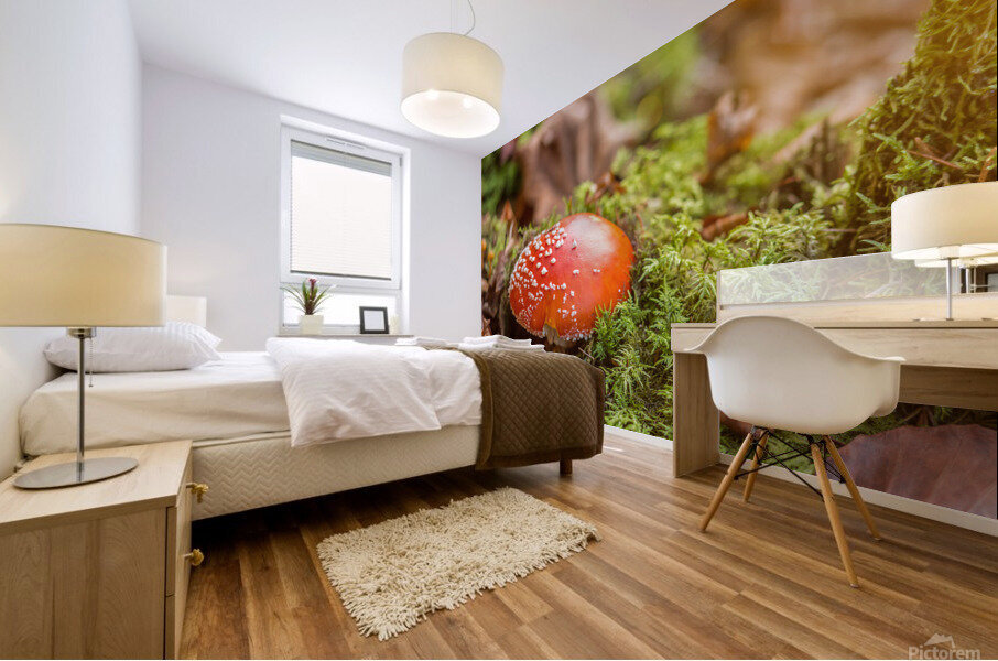 Fly Agaric Mushroom Mural print