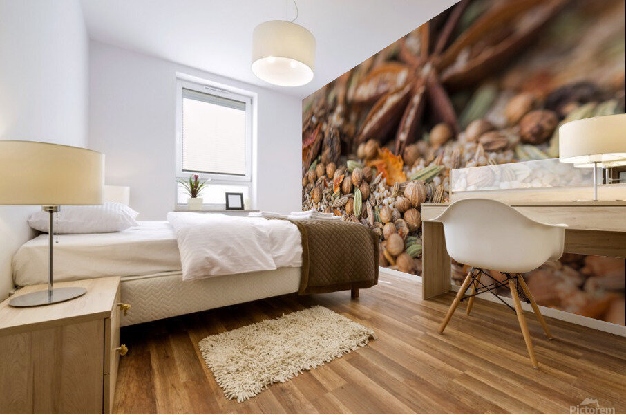 Indian Spice Mural print
