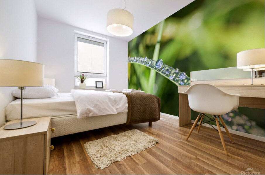 Nature Mural print