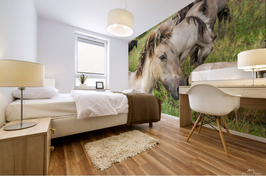 Konik Mural print