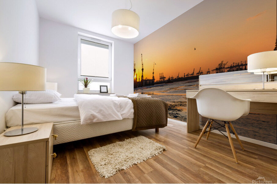 Elbe River Sunset Mural print