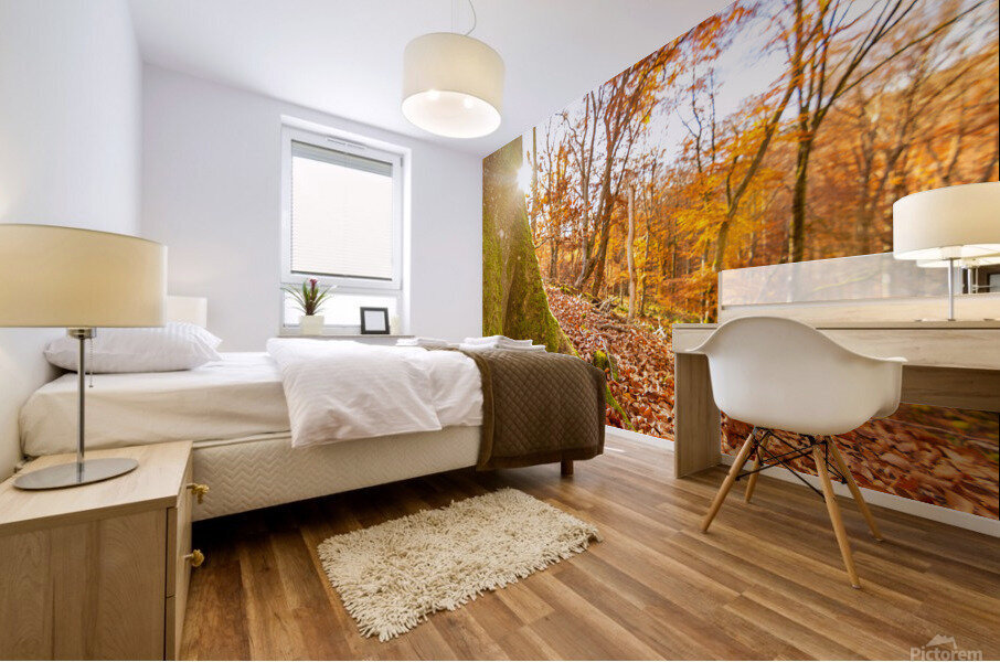 Autumn Tree Trunk Mural print