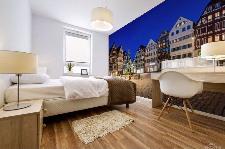 German Oldtown Tubingen Mural print