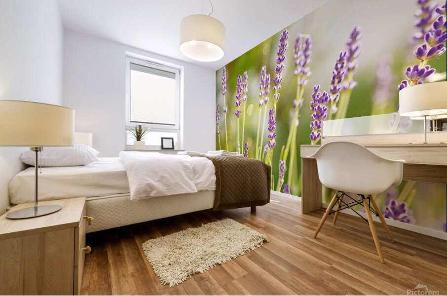 Sunny Lavender Mural print