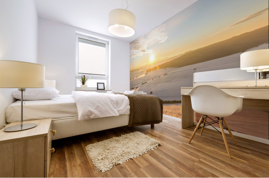 Winter View Mural print