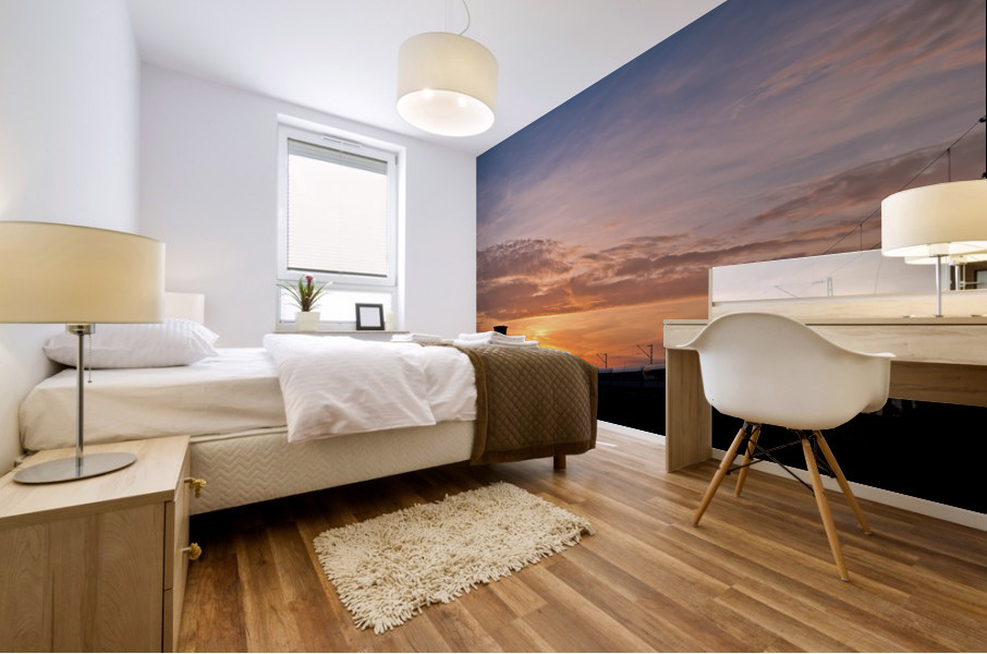 Evening Train Mural print