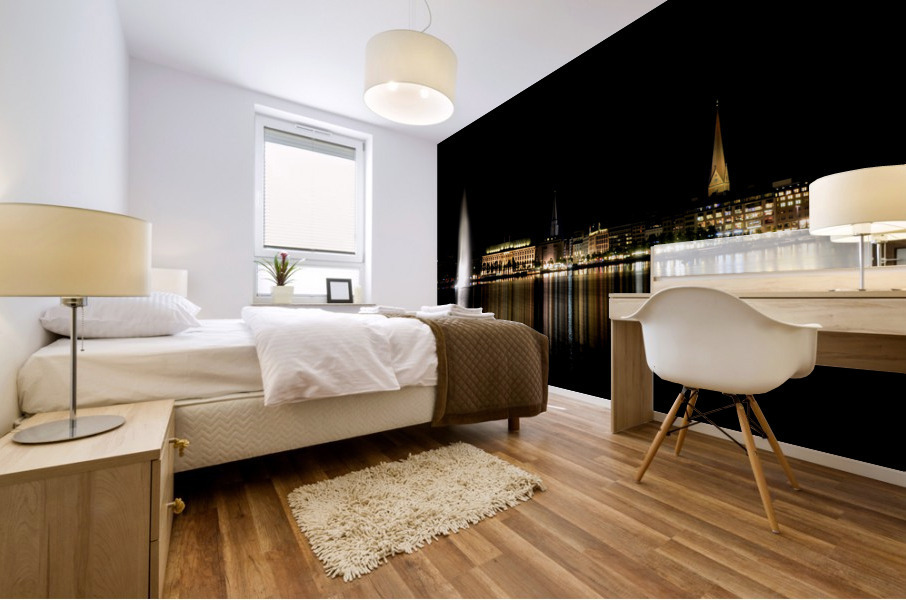 Alster Night Shot Mural print